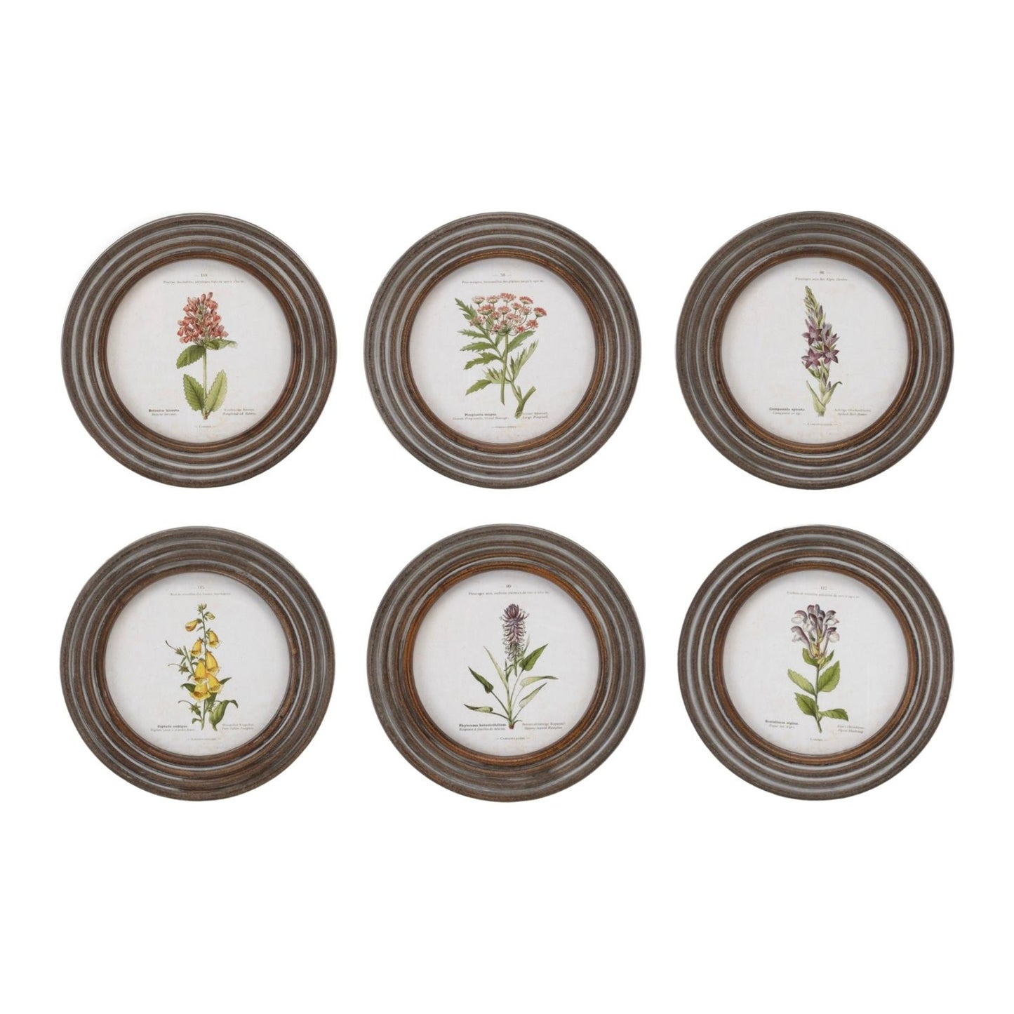 Round Framed Floral Print (Set/6) 9.5"D Wood/MDF/Glass from Melrose International- FREE SHIPPING & $119.