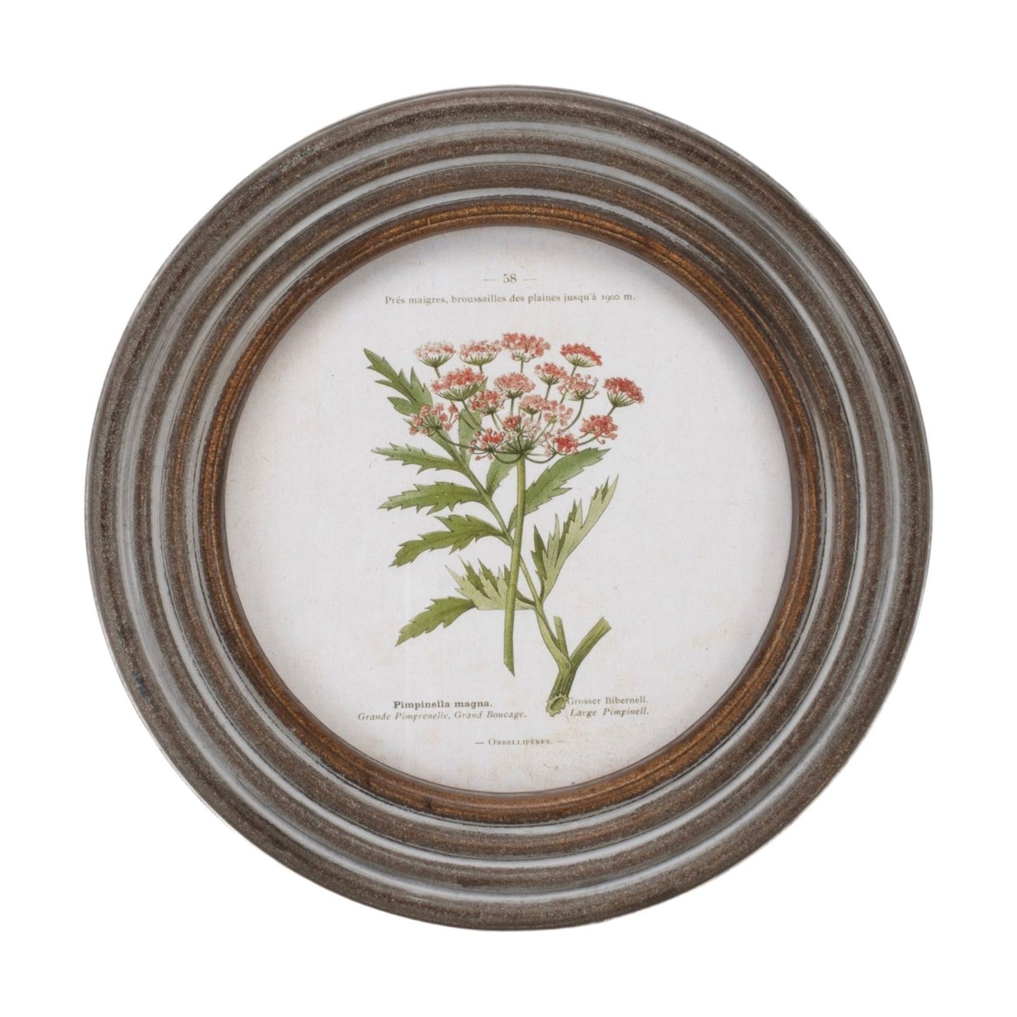 Round Framed Floral Print (Set/6) 9.5"D Wood/MDF/Glass from Melrose International- FREE SHIPPING & $119.