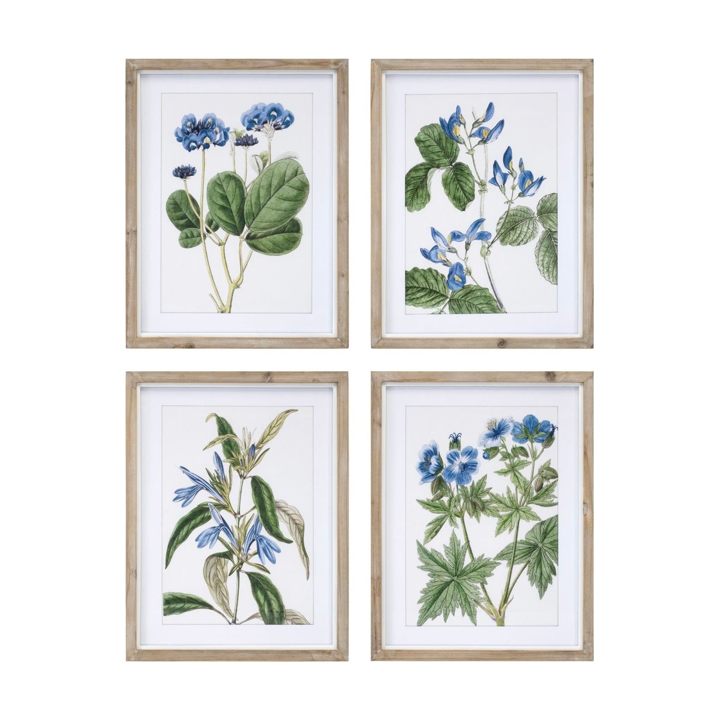 Framed Floral Print Set/4 13.75"L x 17.5"H Wood/MDF/Glass from Melrose International, 92019, FREE SHIPPING - $159.