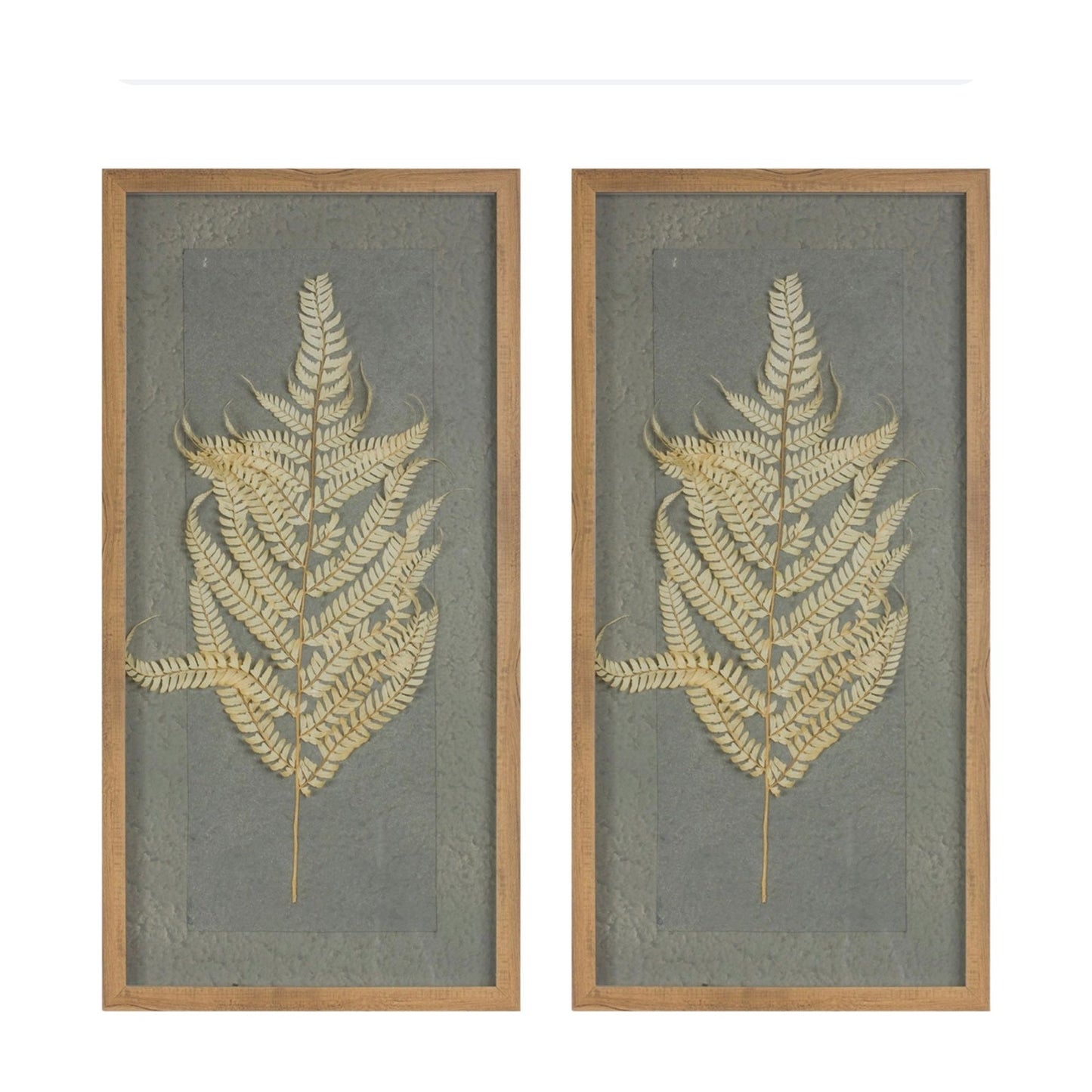 Framed Fern Print (Set of 2) 14"L x 27.5"H Wood/Paper from Melrose International 88235 -FREE SHIPPING - $109.