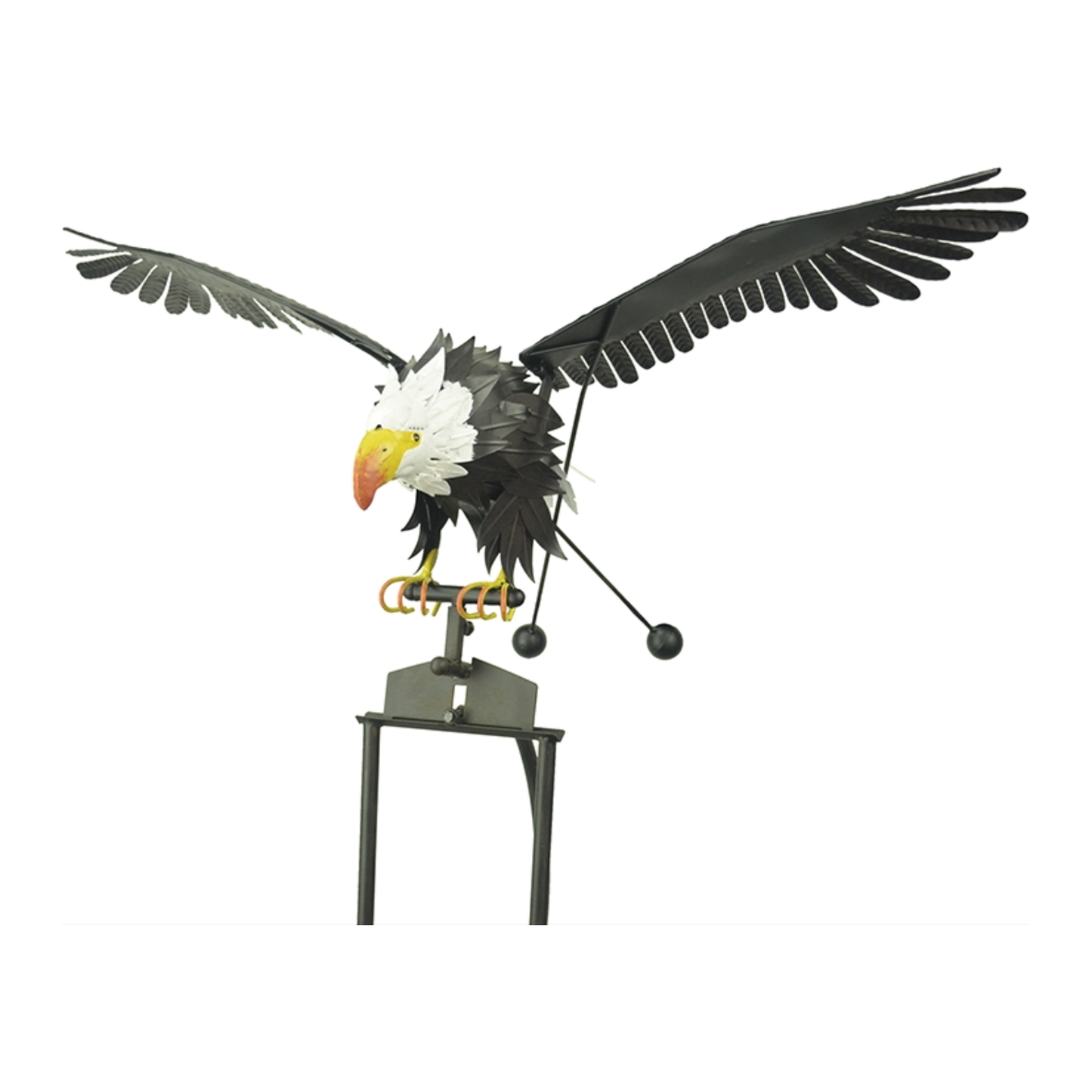 Closeup of medium rocker eagle